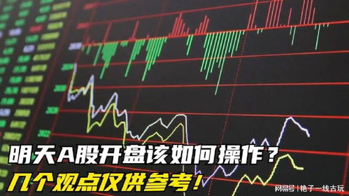 如何开盘股票