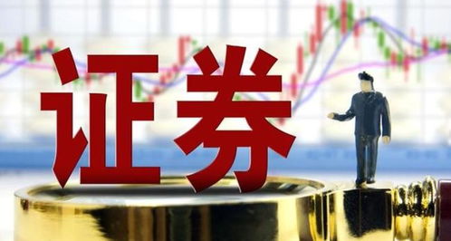 融资证券怎么用