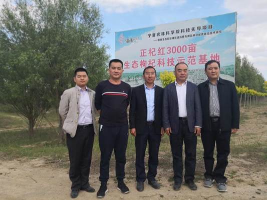 宁夏中泰证券怎么样啊