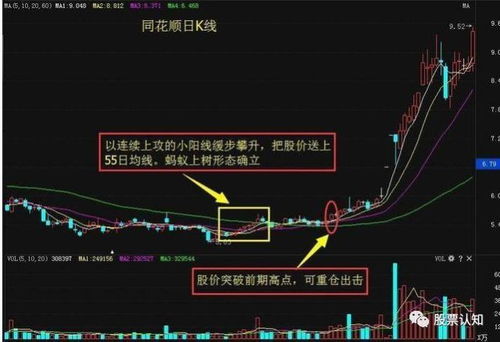 如何看股票投资标准分析