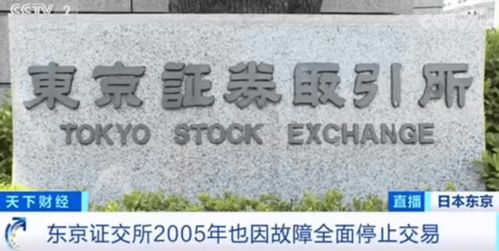 东京证券停止交易怎么办