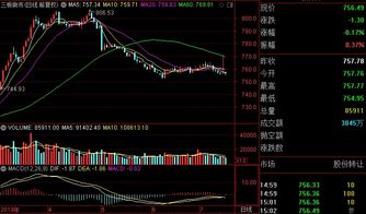 新三板如何发行股票