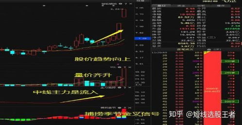 如何确定股票资金