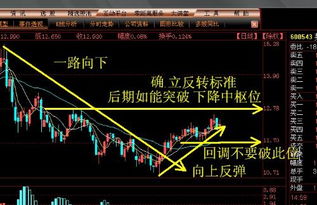 如何看到心仪股票走势