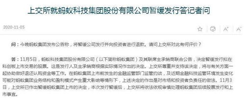 五只蚂蚁基金股票如何选