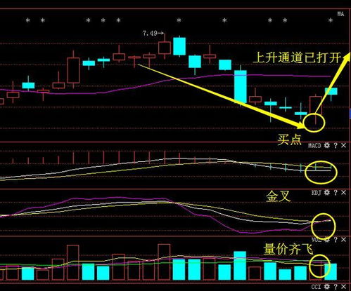 摘帽后股票后期走势如何