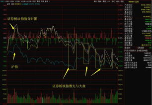 股票如何选潜力股票基金