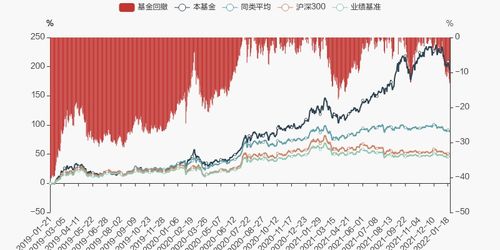 股票如何选潜力股票基金
