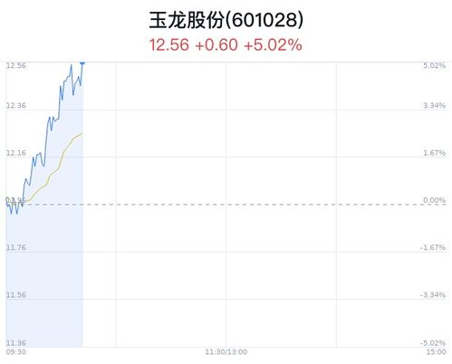 如何创建个人股票 如何创建个人股票