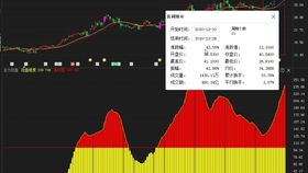 菜鸟如何选股票