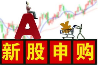 如何快速购买新股股票