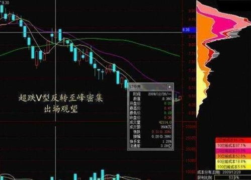 庄家如何买卖股票