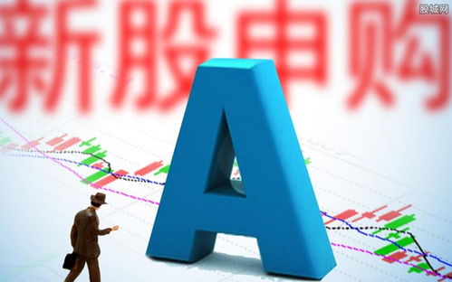 如何申购北京证券新股票