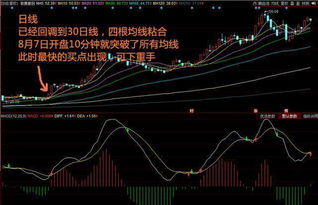 股票如何涨得