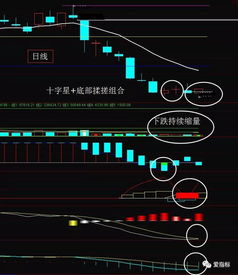 如何看行业股票基本面图