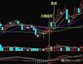 如何发现股票黑马