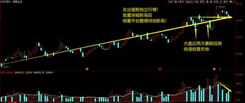 绿茵生态股票前景如何样