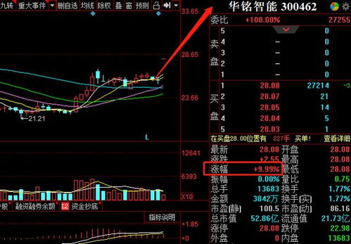 如何找到一字板股票龙头