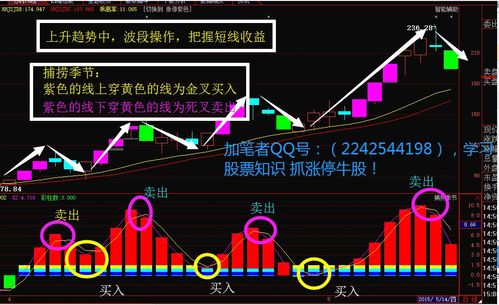 如何把股票作到极致