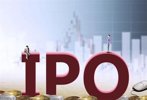中信证券ipo怎么过 中信证券ipo怎么过