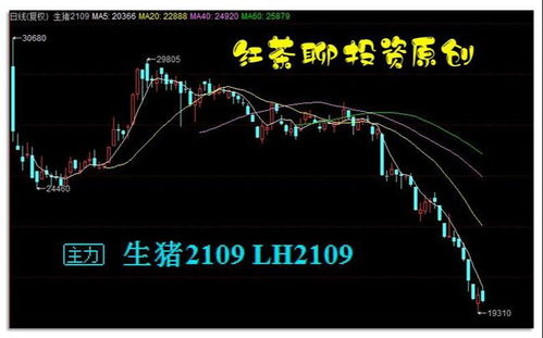 如何看一个股票风云榜