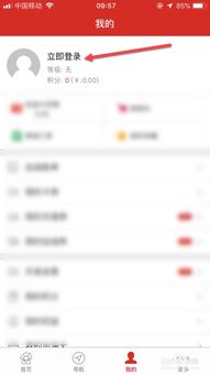 证券余额查不到怎么办