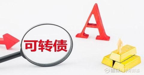 用证券怎么买可转债