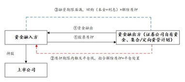 股票质押回购如何登记