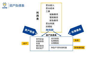 初级训练营如何选股票