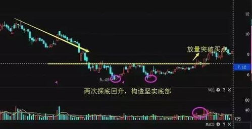 如何判断股票是不是真的 如何判断股票是不是真的