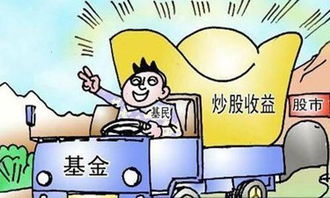 教你如何选一只股票基金