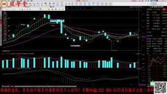 初学股票如何 初学股票如何