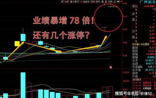 公司如何得到股票