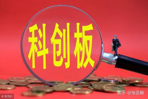 如何评价科创股票