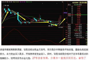 如何申请股票债转股指标