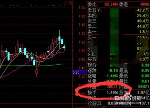 如何查看股票总投资