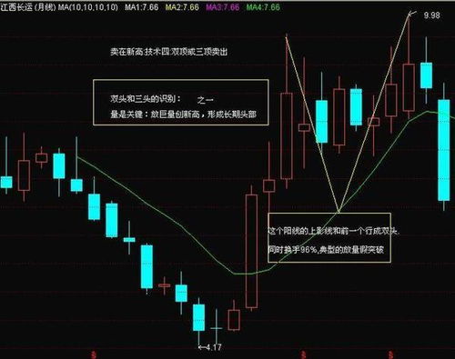 如何查看股票总投资