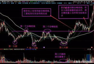 投资股票如何获利