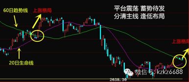 散户如何成为好股票