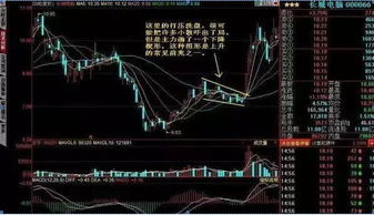 散户如何成为好股票