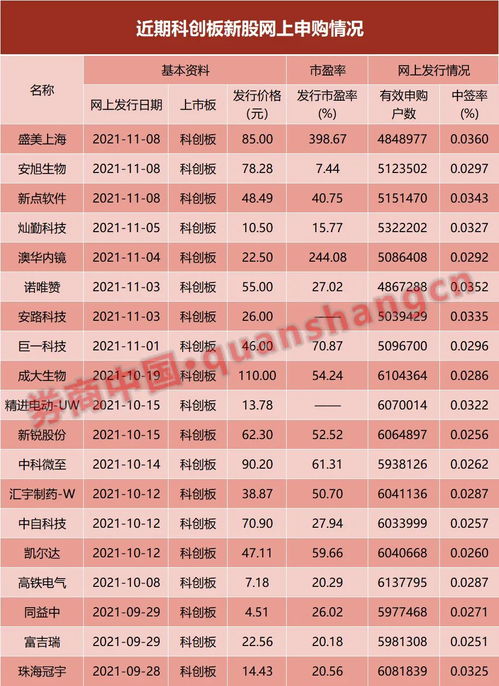 如何在网上申购正股股票