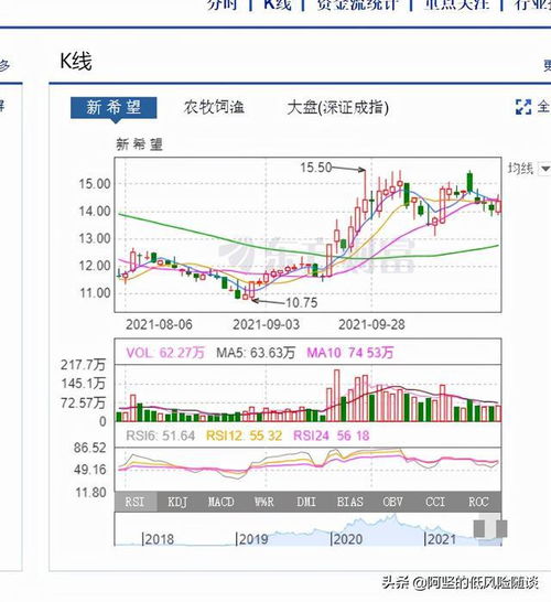 如何在网上申购正股股票