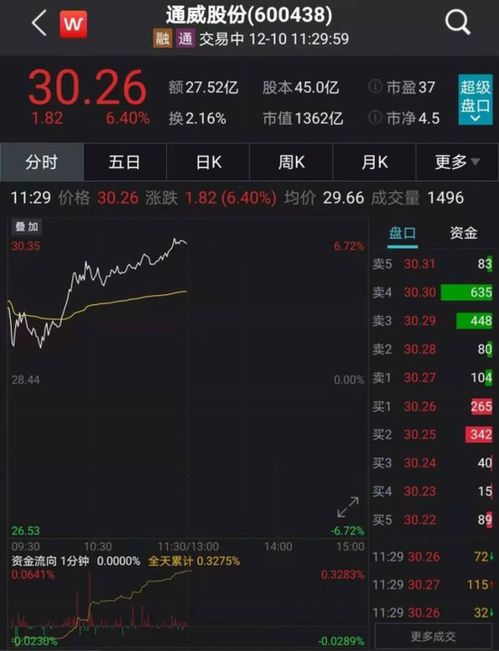 股票发行数量如何确定