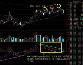 如何看股票的macd