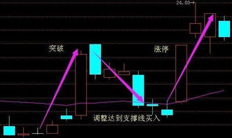 如何看股票获利多少
