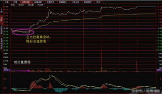 股票如何预防大亏损买卖