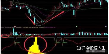 如何看股票有无庄家视频