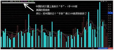 股票每天如何买卖