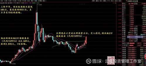 中信证券怎么找基金代码