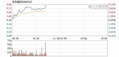 永东股份股票如何 永东股份股票如何
